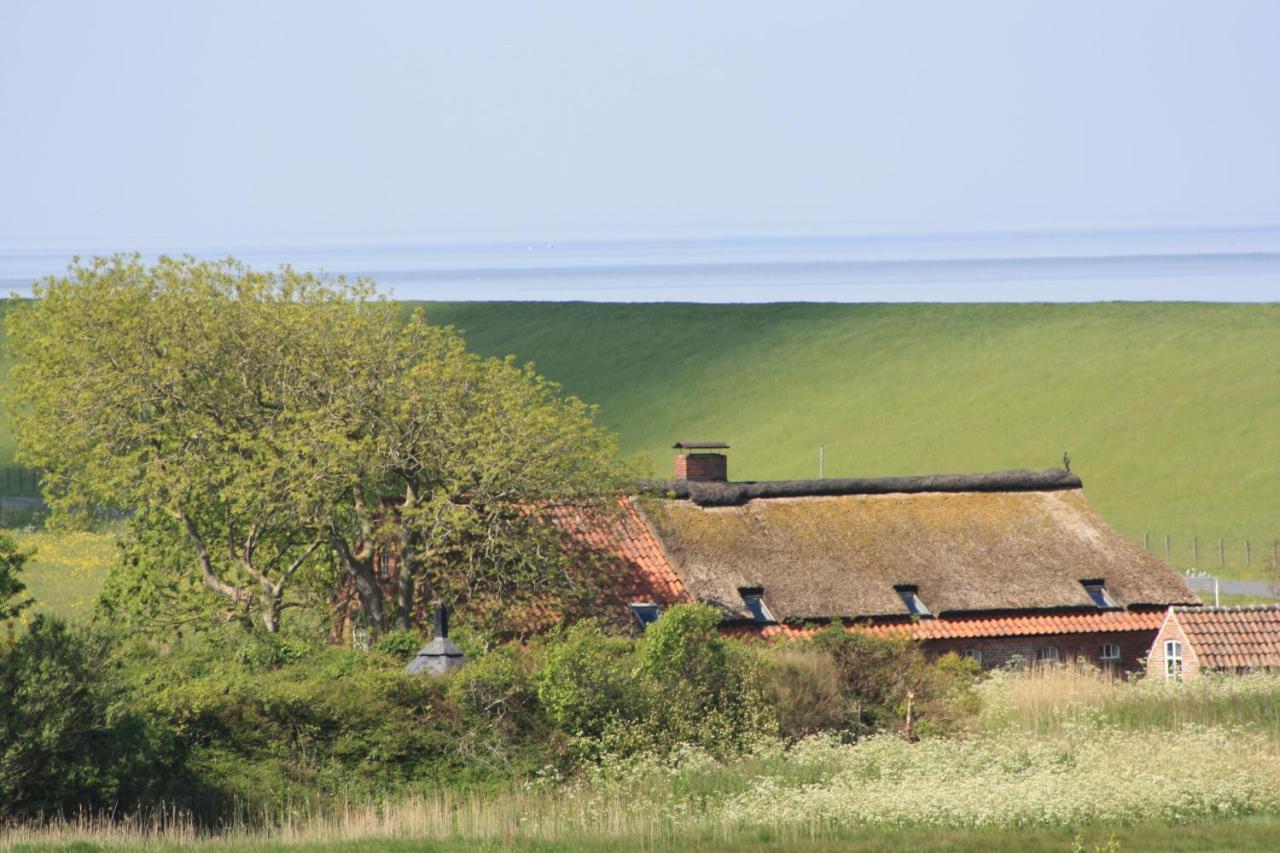 Gasthof Grosser Krug Norddeich  Zewnętrze zdjęcie