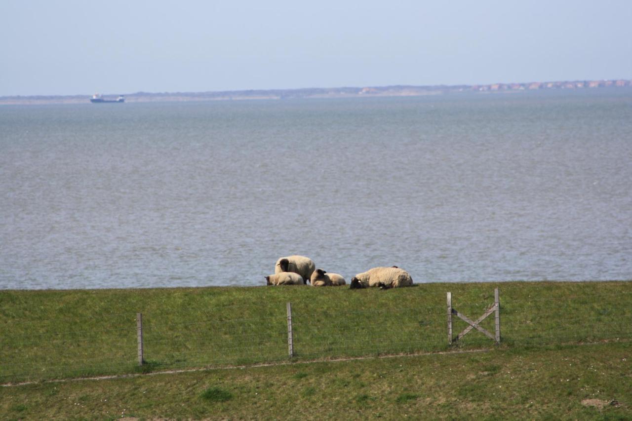 Gasthof Grosser Krug Norddeich  Zewnętrze zdjęcie